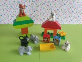Duplo (Y79) Set Katzen