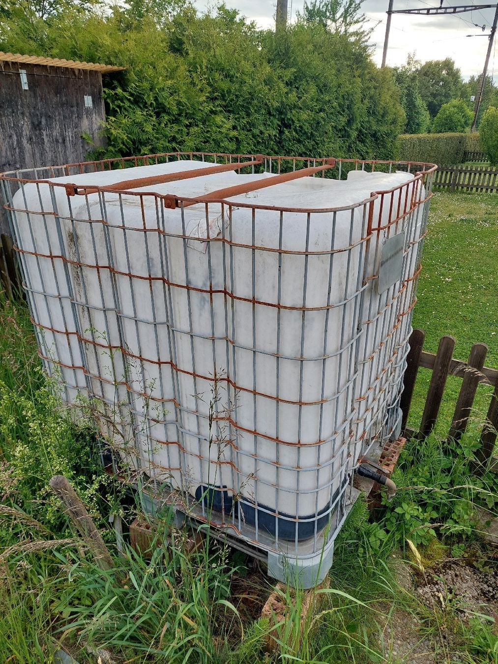 Abbeveratoi e trogoli: Regenwassertank 1000L mit Defekt – Usato da Seuzach venduto da Norcasto 2