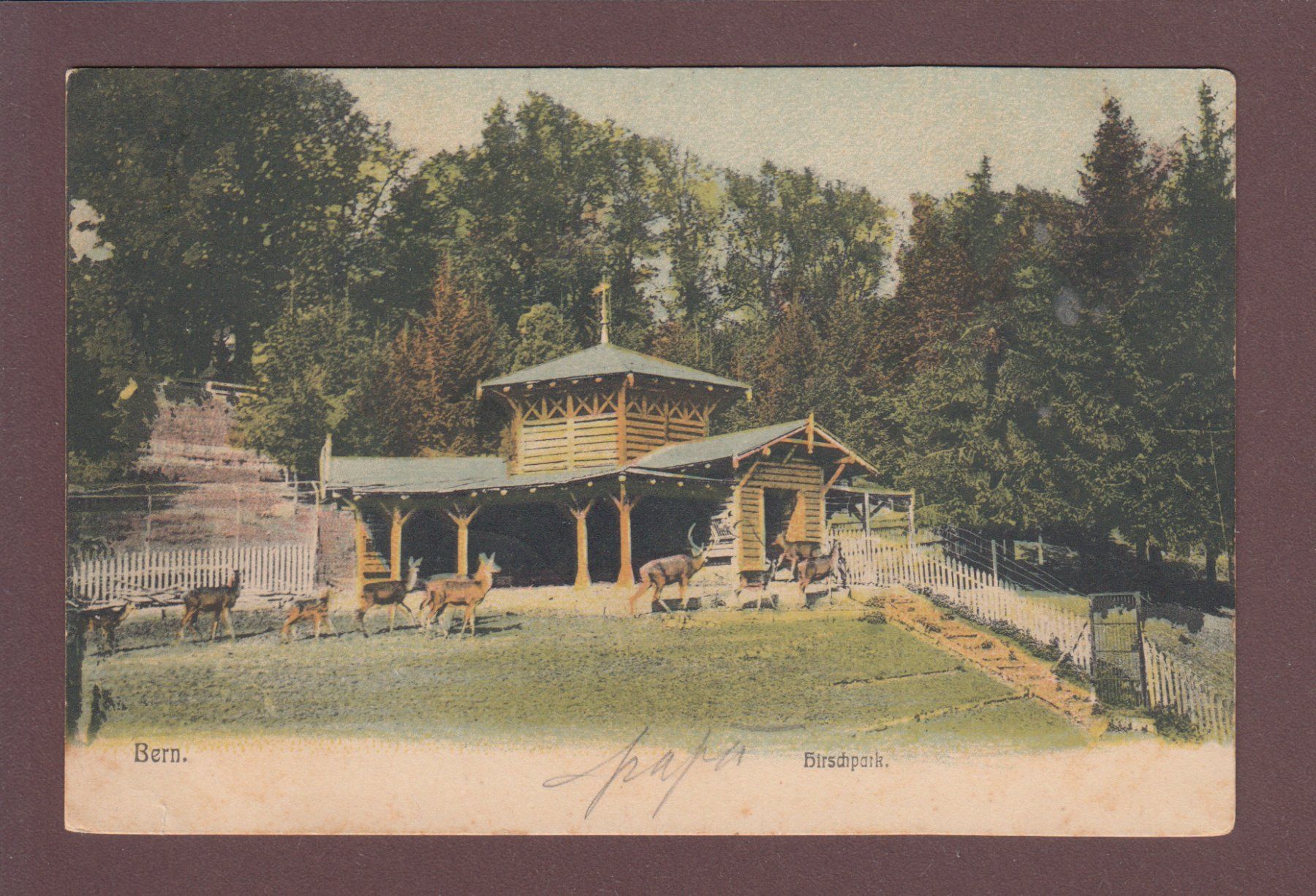 Cartoline postali: BERN - Hirschpark - 1904 // minim Riss // – Usato da Pully venduto da nicecards