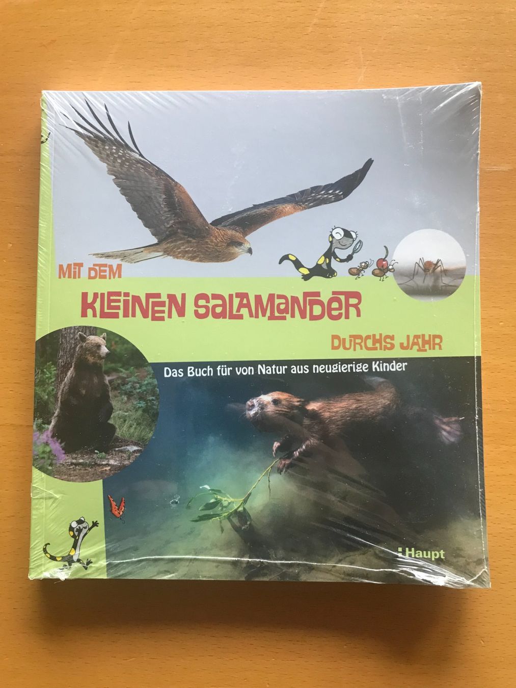 Libri: Mit dem kleinen Salamander durchs Jahr – Nuovo e nell'imballaggio originale da Luzern venduto da mey_s13