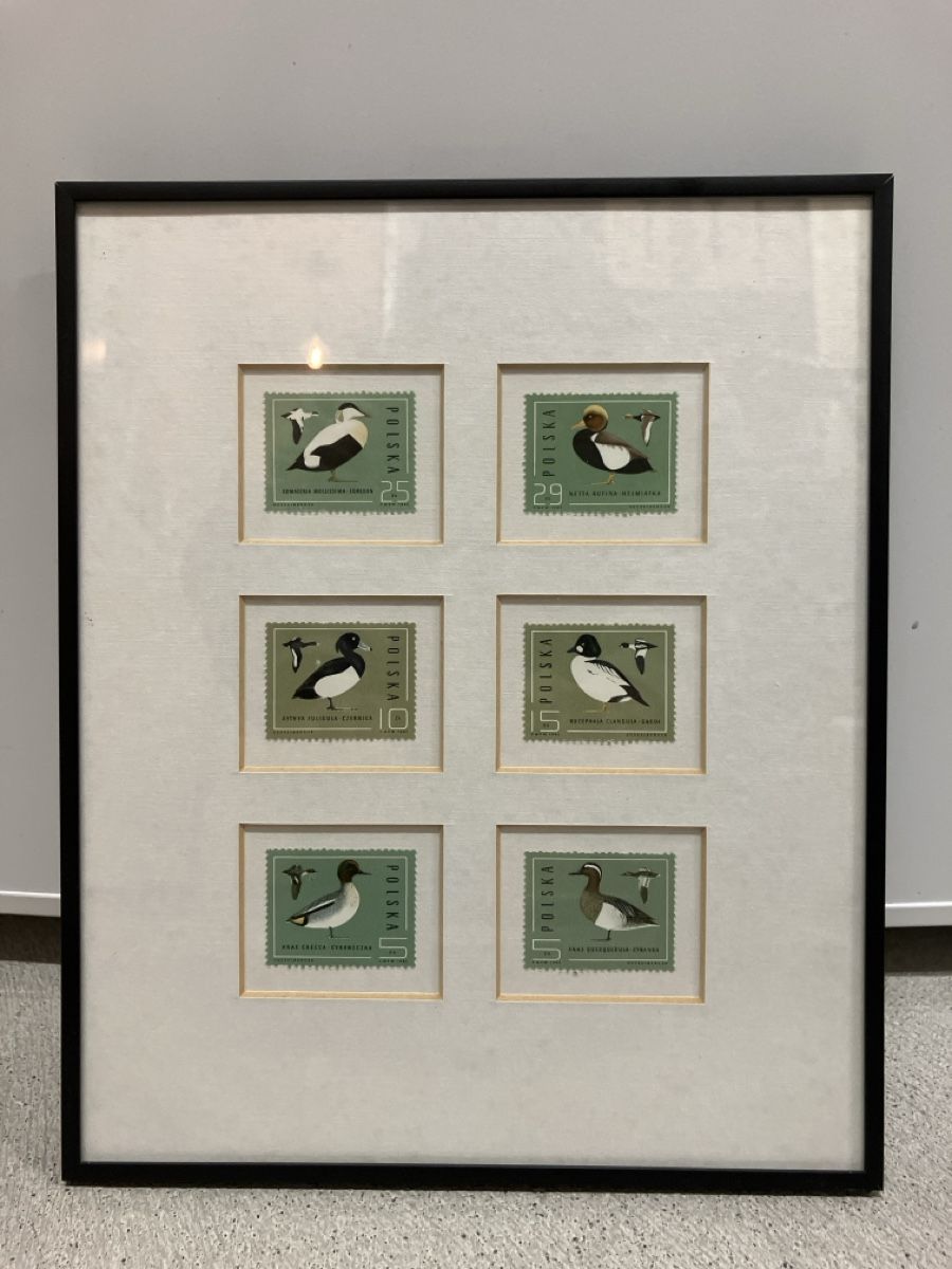 Cornici: Framed Polish Stamp Art - Duck Theme – Nuovo (secondo la descrizione) da Wettingen venduto da BAG4478