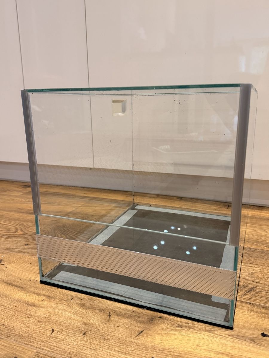 Terrario: Kleines Terrarium – Usato da Hermrigen venduto da jar_9jqw 1