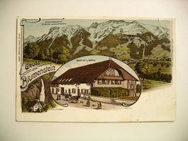 farbige LithoAK BLUMENSTEIN, Gasthof zum Bären