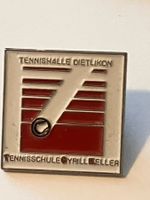 1 Pin Tennishalle Dietlikon