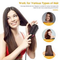 Haartrockner Warmluftbürste Hair Styler