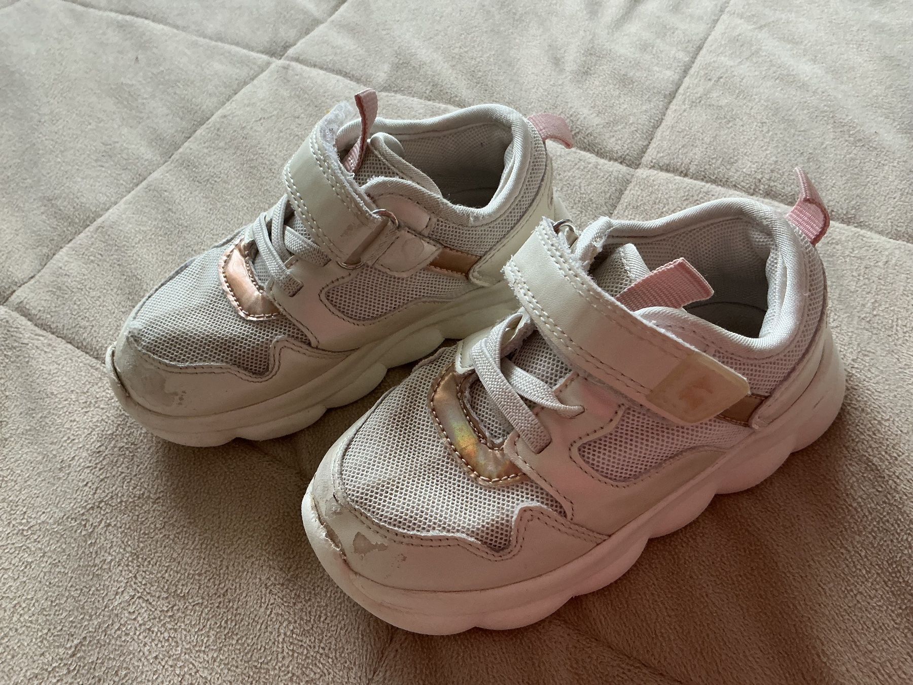 Scarpe per ragazzi: Baby Sneakers  24 – Usato da Brugg AG venduto da Magna3