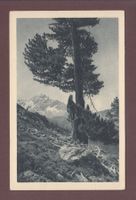 Nationalpark - SCARLGEBIET