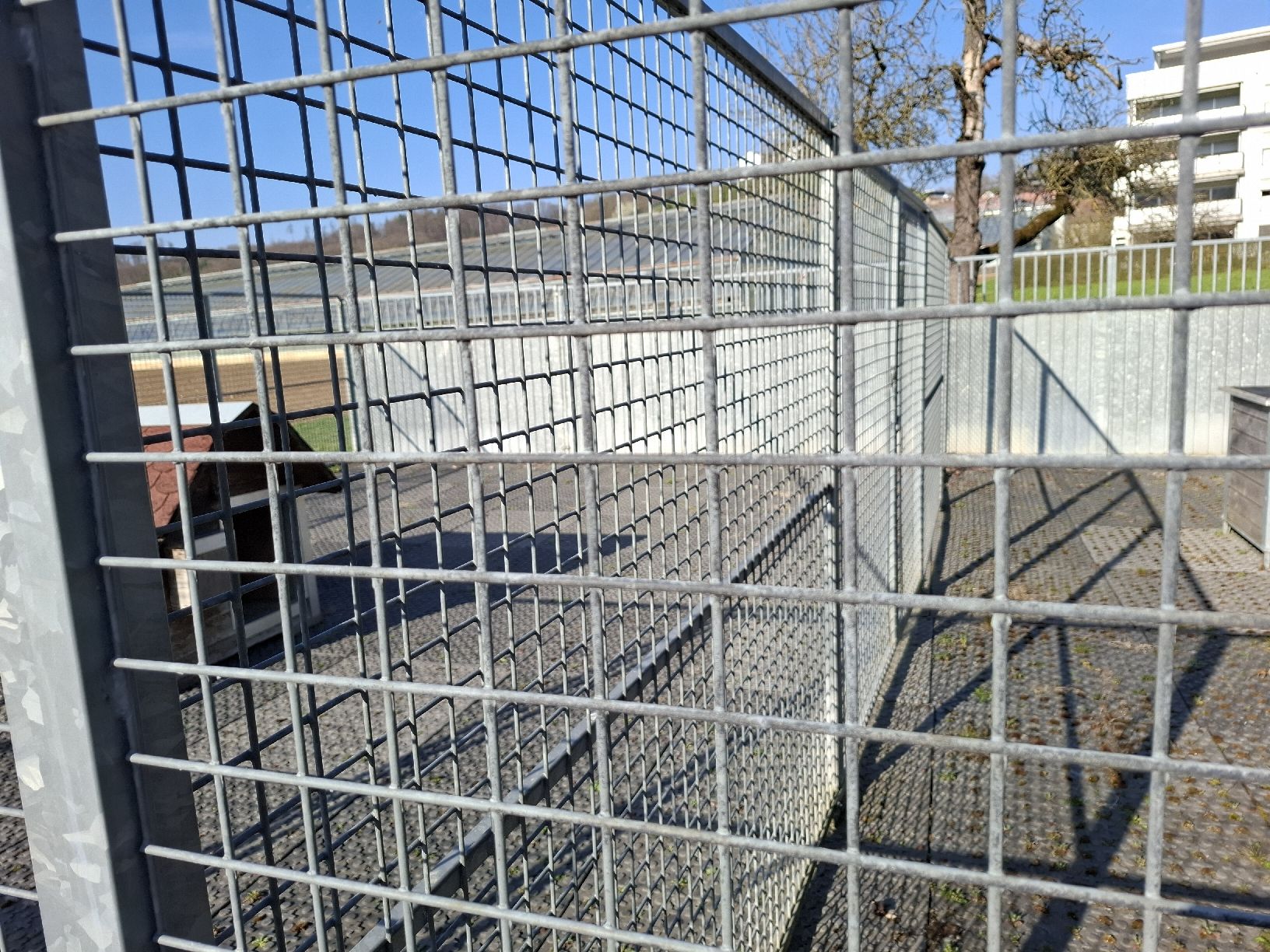 Gabbie, trasporto & Sicurezza: Zwingeranlage für Hunde  – Usato da Birmenstorf AG venduto da kildareeins 3