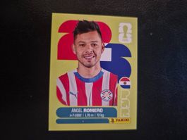 Panini WM 26 PAR 19