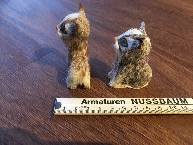 Statuette: Katzenfiguren – Usato da Pfäffikon ZH venduto da GZHDZV 1