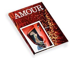 Guillaume Perret - Amour - livre signé + tirage 13x18cm
