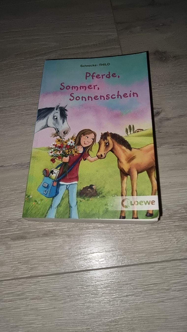 Libri: Pferdebuch "Pferde, Sommer, Sonnenschein" – Usato da Wigoltingen venduto da Zuckerfee84
