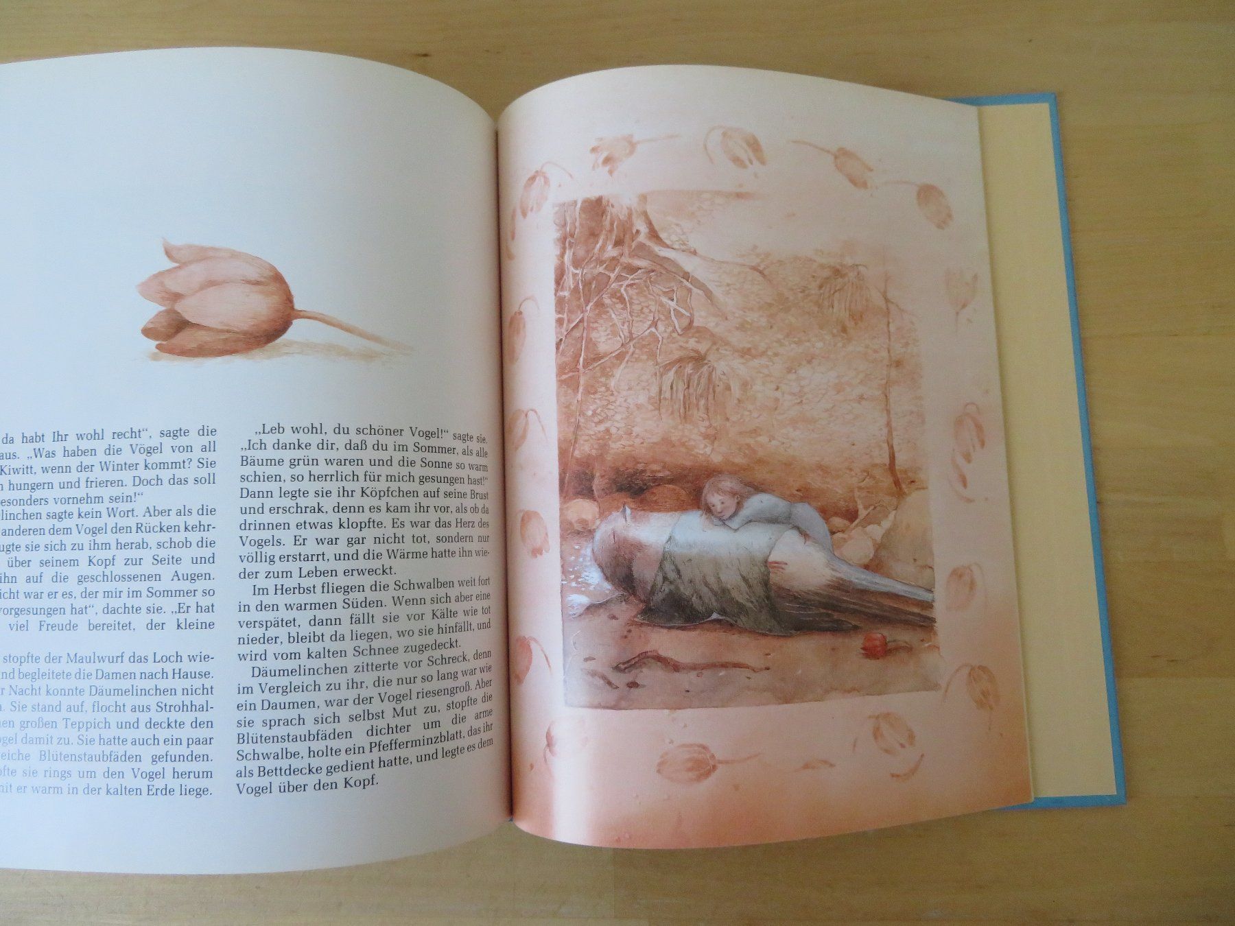 Libri: DÄUMELINCHEN Hans Christian Andersen – Usato da Zürich venduto da piroma 5