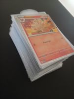 Pokémon 30th Celebration Bulk Englisch 🇺🇲