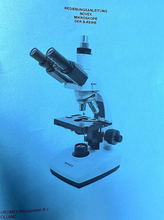 Microscopi: Mikroskop Novex B-Reihe – Usato da Ulmiz venduto da sab_bl9r