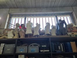Schaufensterpuppen Oberkörper Set gebraucht mehr als 7 Stück