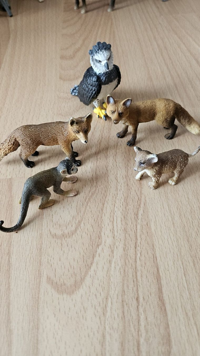 Schleich Giocattoli: Lot d'animaux Schleich – Usato da Neuchâtel venduto da papillon1974 1