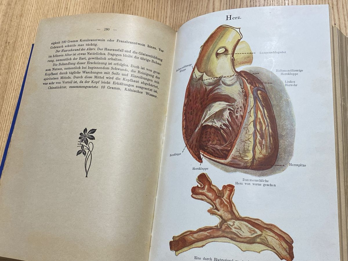 Libri: Selbsthilfe Gesundheitsbuch um 1900 – Usato da Mosnang venduto da Goldwasser 1