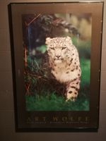 Art Wolfe Bild Schneeleopard gerahmt 60x90cm gebraucht
