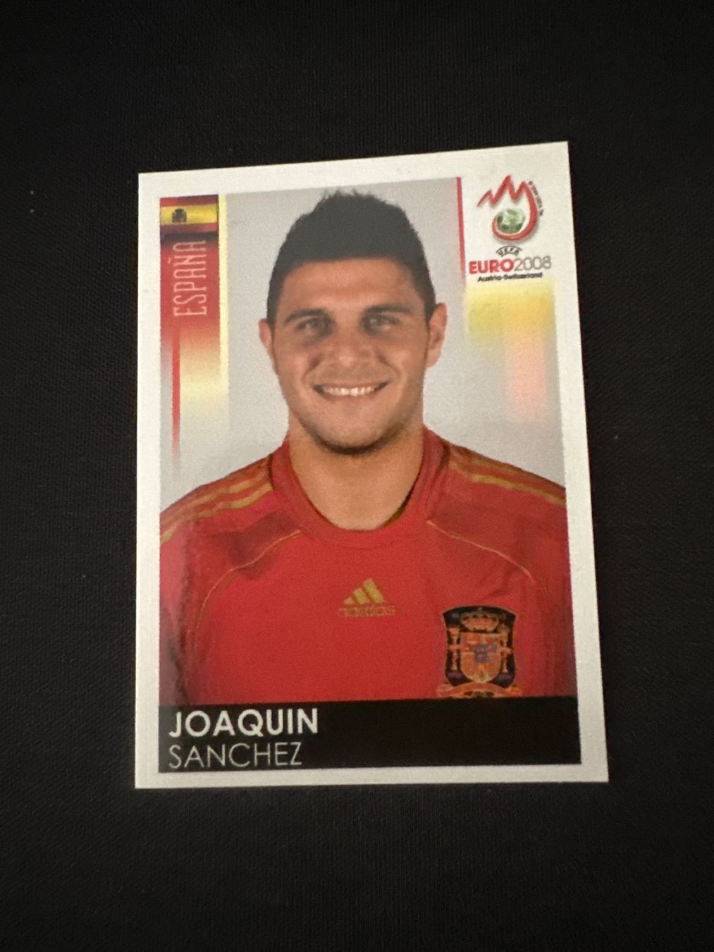 Panini Carte collezionabili: Panini UEFA EM 2008 Sticker - Nr. 429 – Usato da Sulz AG venduto da DealWerk
