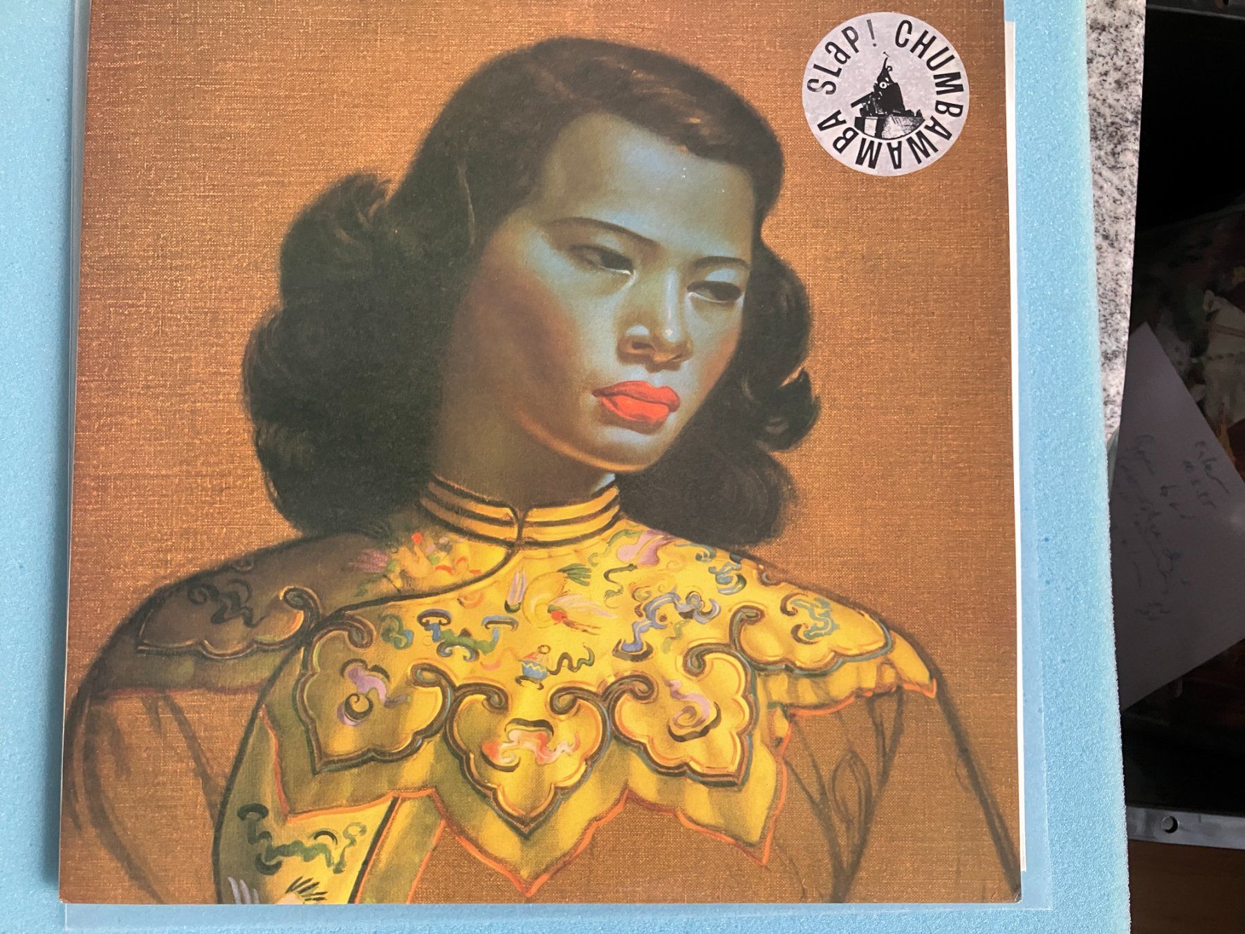 Dischi in vinile: Chumbawamba – Usato da Aarwangen venduto da Jukebox3
