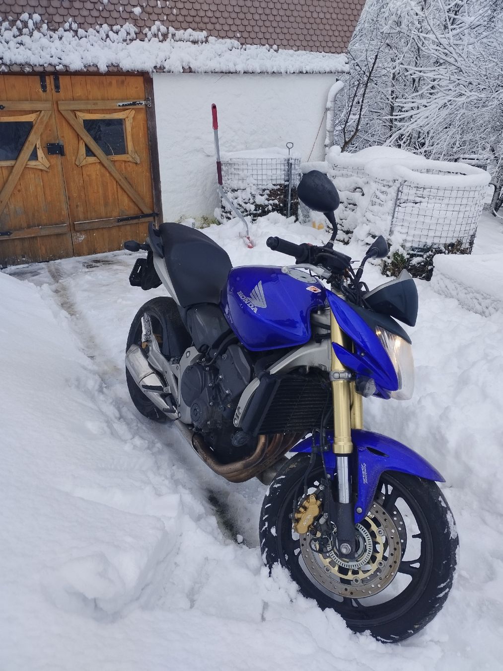 Honda Strada: Honda Hornet CB600FA 25kW Kat.-A – Usato da Fischenthal venduto da JURIGINAL 3