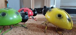 coccinelleun célèbre làmour Prüfungskäferli4ideales Geschenk