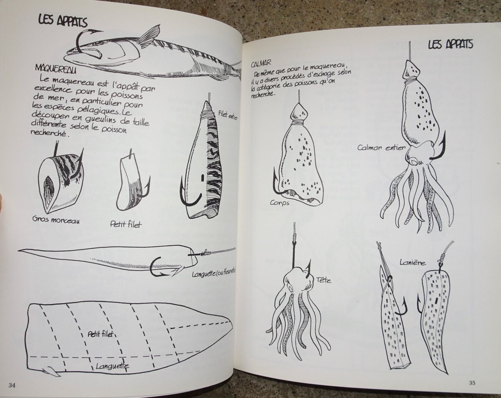 Libri: Livre "Pêche en Mer" - Techniques et astuces – Nuovo (secondo la descrizione) da Châtelaine venduto da fil_7lqg 5