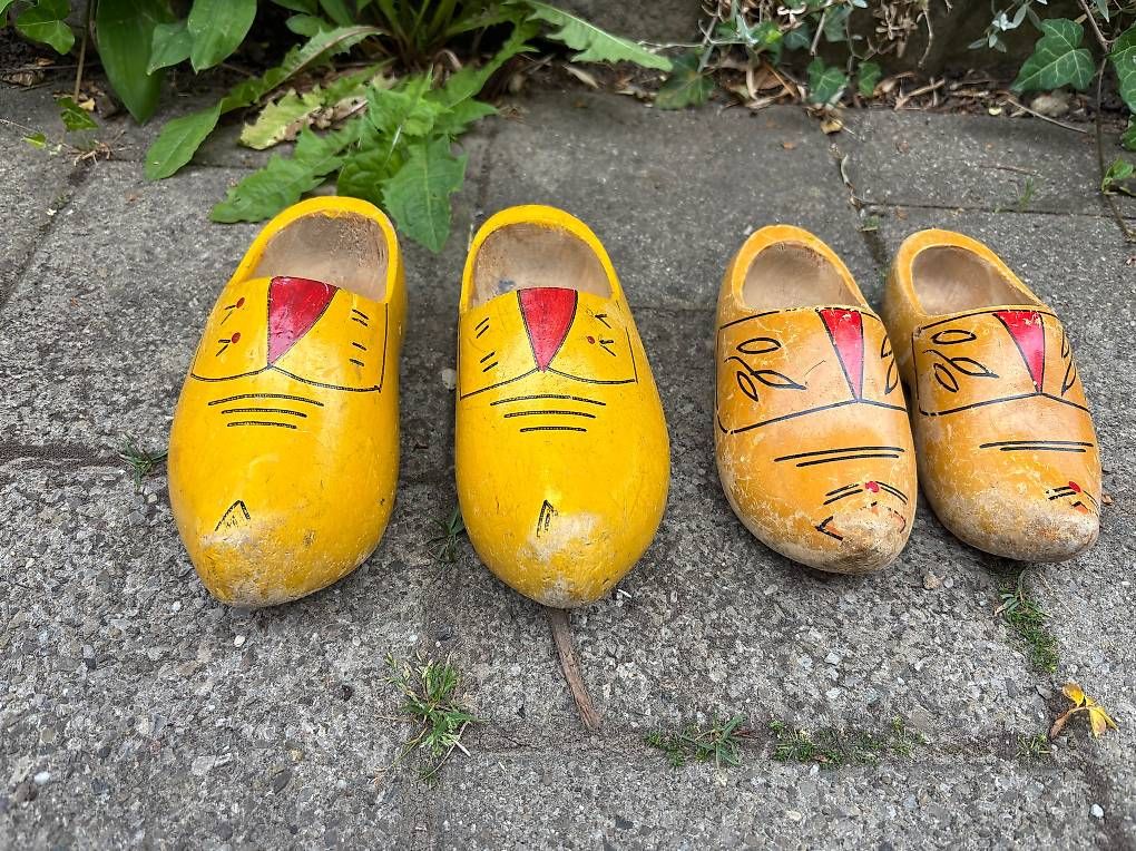 Scarpe da uomo: Original Holländer Holzzoggeli – Usato da Henggart venduto da Iltis2000 4
