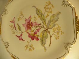 Sammelteller Bavaria Winterling 38 mit schönem Blumendesign