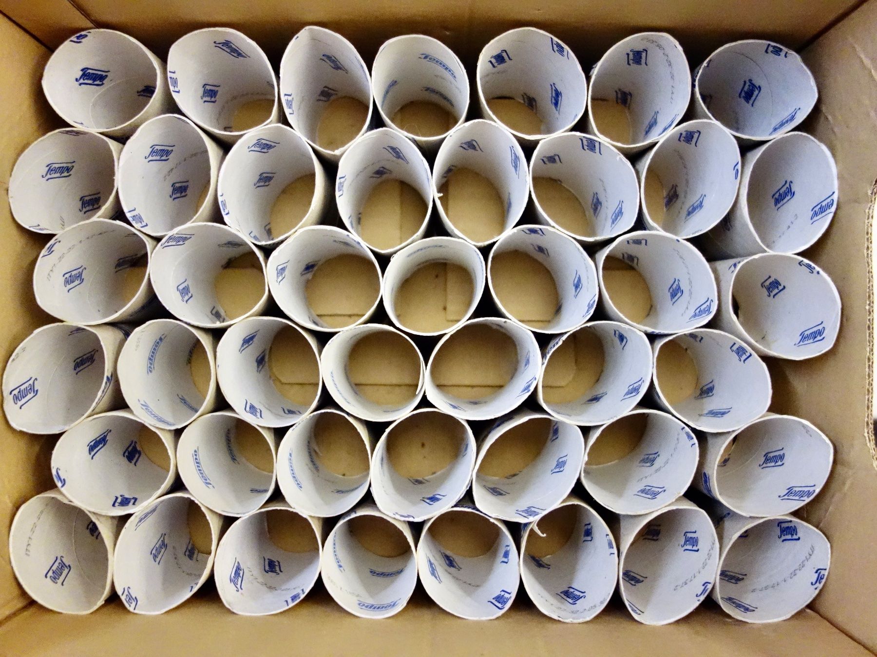 Kit bricolage: 30 Kartonröhrli WC-Rollen zum Basteln Bastelmaterial – Nuovo (secondo la descrizione) da Kerzers venduto da djstarsky73 4