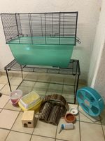 Cages pour hamster avec accessoires