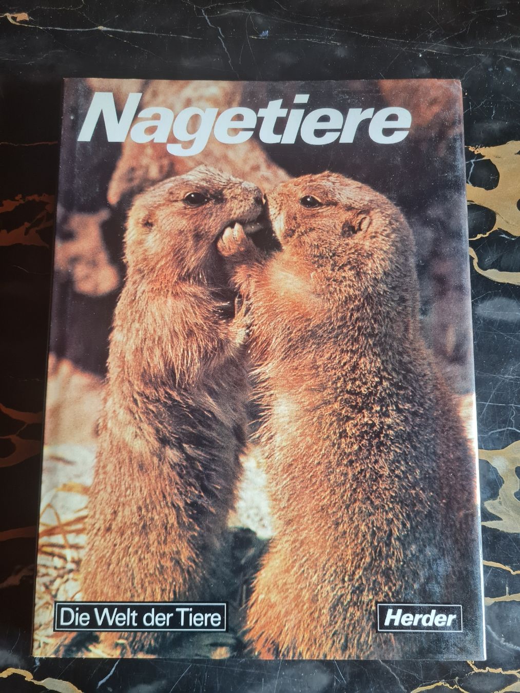 Libri: Die Welt der Tiere 4 Bände Herder Tierbücher – Usato da Bäretswil venduto da Rio. 8
