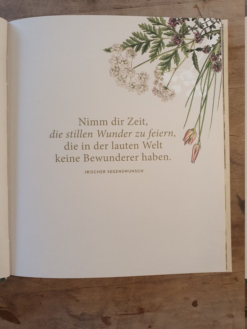 Libri: Nimm dir Zeit Hölker – Usato da Zürich venduto da loosebone 2