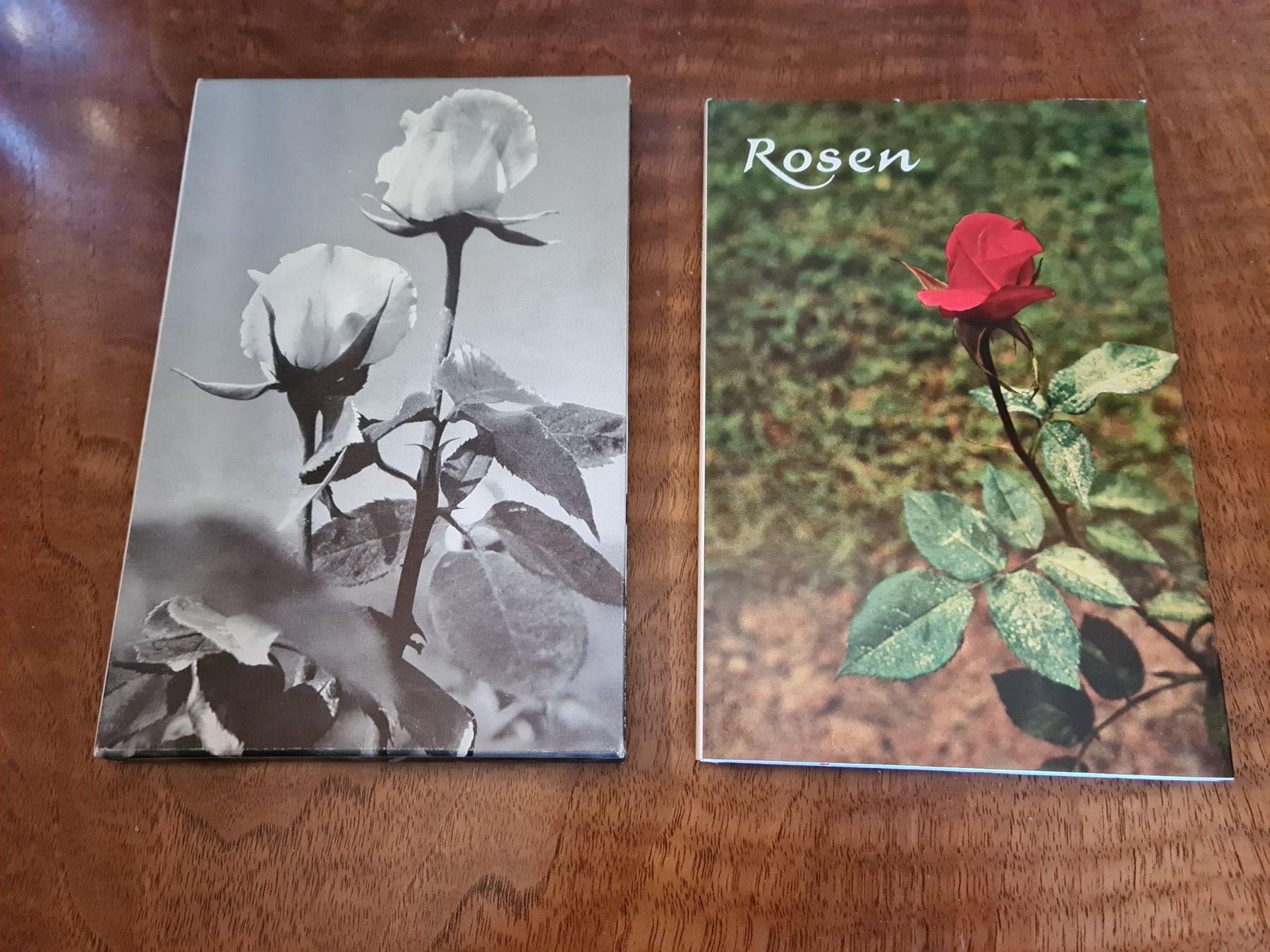 Libri: Rosen – Usato da Erstfeld venduto da Uhu1980