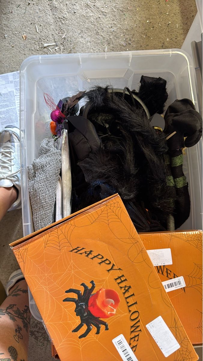 Alle Dekorationen: Halloween/ Fasnachtsdeko Set  – Gebraucht aus Wangen SZ von ang_vcw8