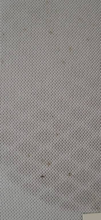 Haut-parleurs: SOLID SOLUTIONS S100, 100 Watt RMS – D'occasion à Curio par mia_vb5z 3