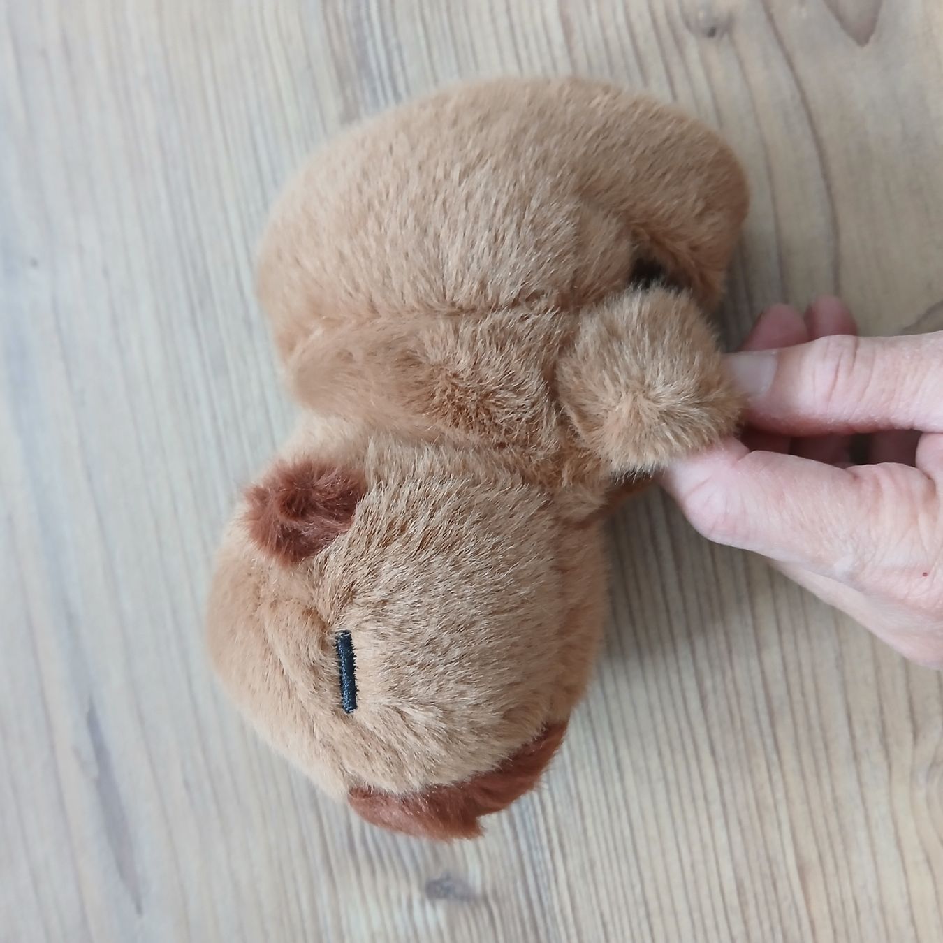 Spielzeuge: Capybara Plüsch Snaparmband – Neu (gemäss Beschreibung) aus Steffisburg von Ferrari006 1