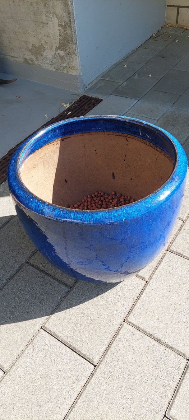 Vasi per fiori: Grosser Pflanztopf winterhart – Nuovo (secondo la descrizione) da RAMLINSBURG venduto da AUDITT1999 2
