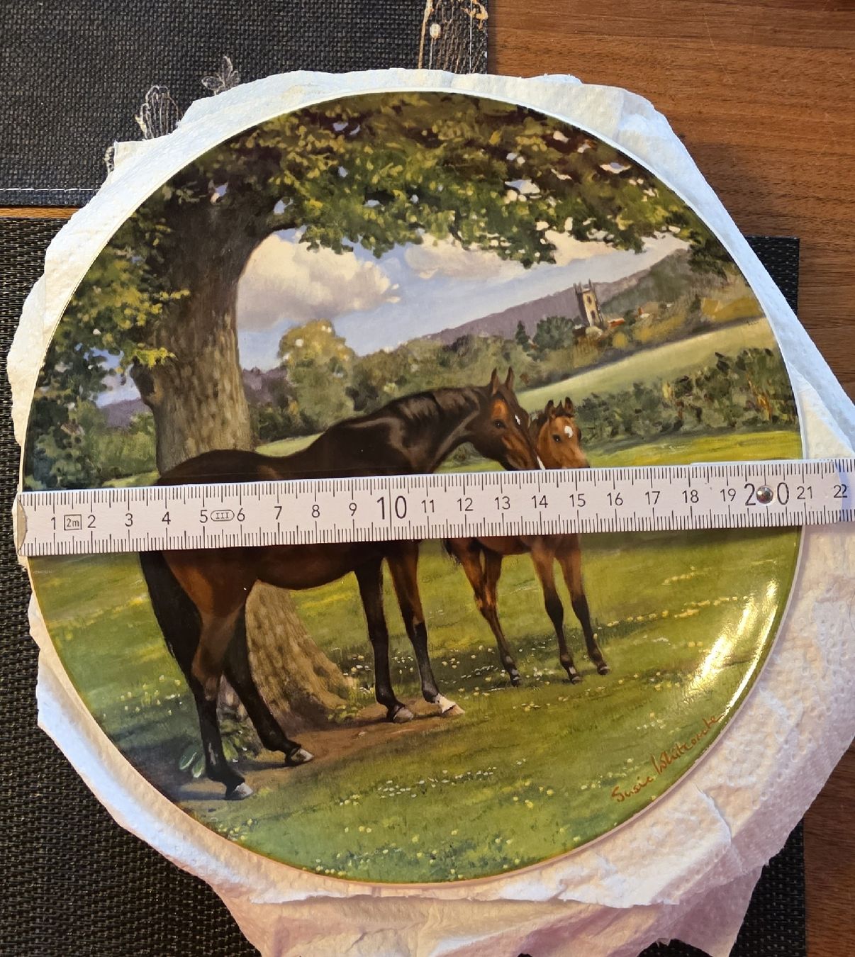Assiettes: Teller aus Sammlung – D'occasion à Bäretswil par mar_py98 1