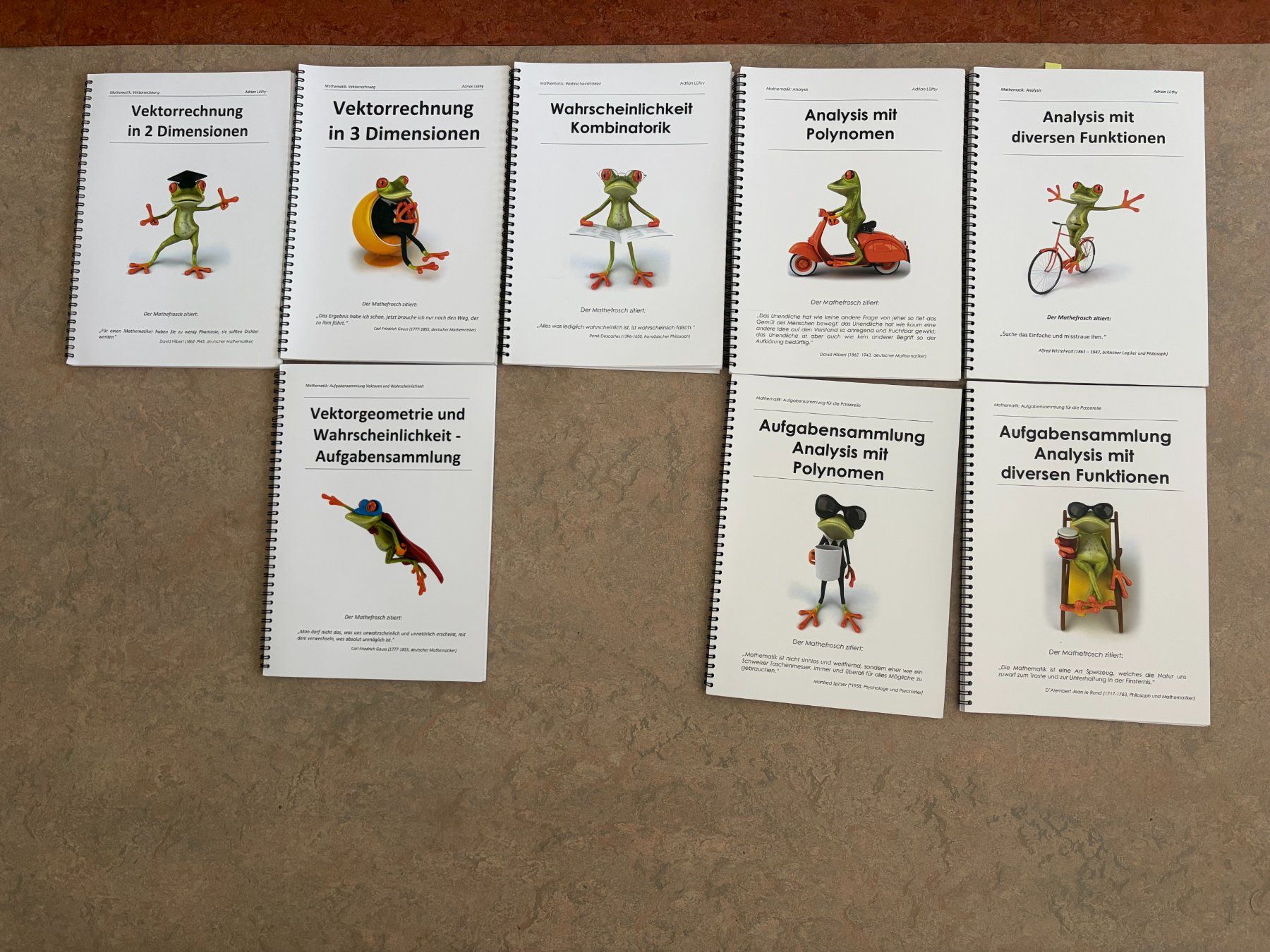 Libri: Mathefrosch - Passerelle Aarau – Usato da Wettingen venduto da lev_9txp