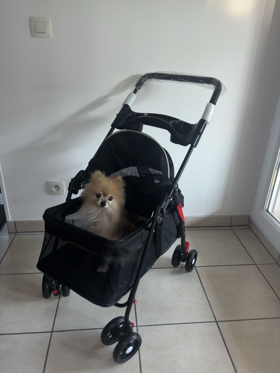 Carrozzine: Poussette pour chien NEUVE – Nuovo e nell'imballaggio originale da Carouge GE venduto da lia_t7zd 1