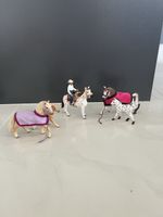 Schleichpferde