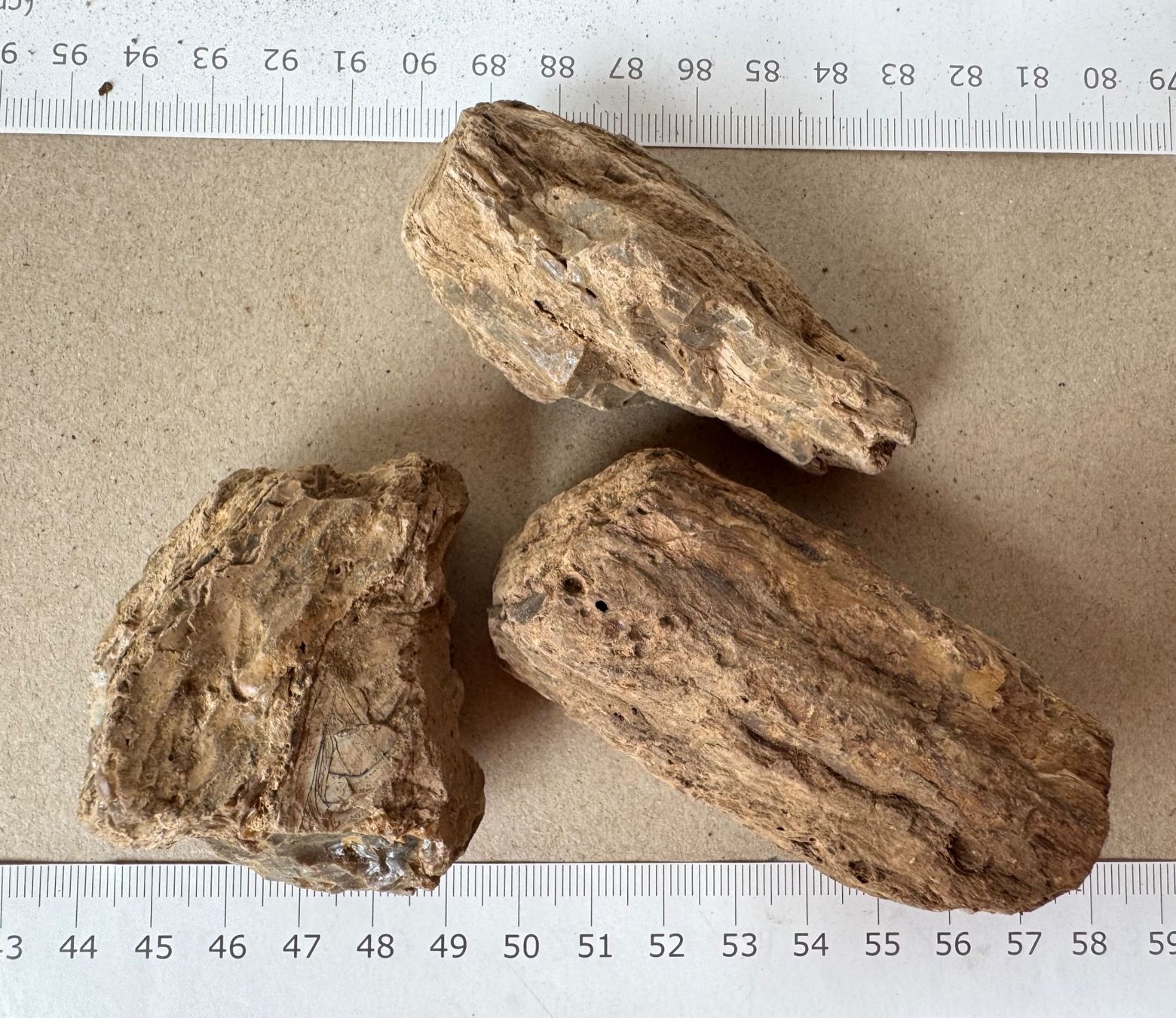 Fossilien: Bernstein  Amber   grosse Brocken    AMBER  aus Sumatra – Neu und originalverpackt aus Leuggern von gemshow 6