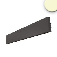 LED Wandleuchte, IP40, 61 cm Länge
