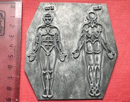 Druckplatte Metall, Klischee Druck, Anatomie, Medizin