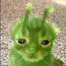 Profile image of deadbat