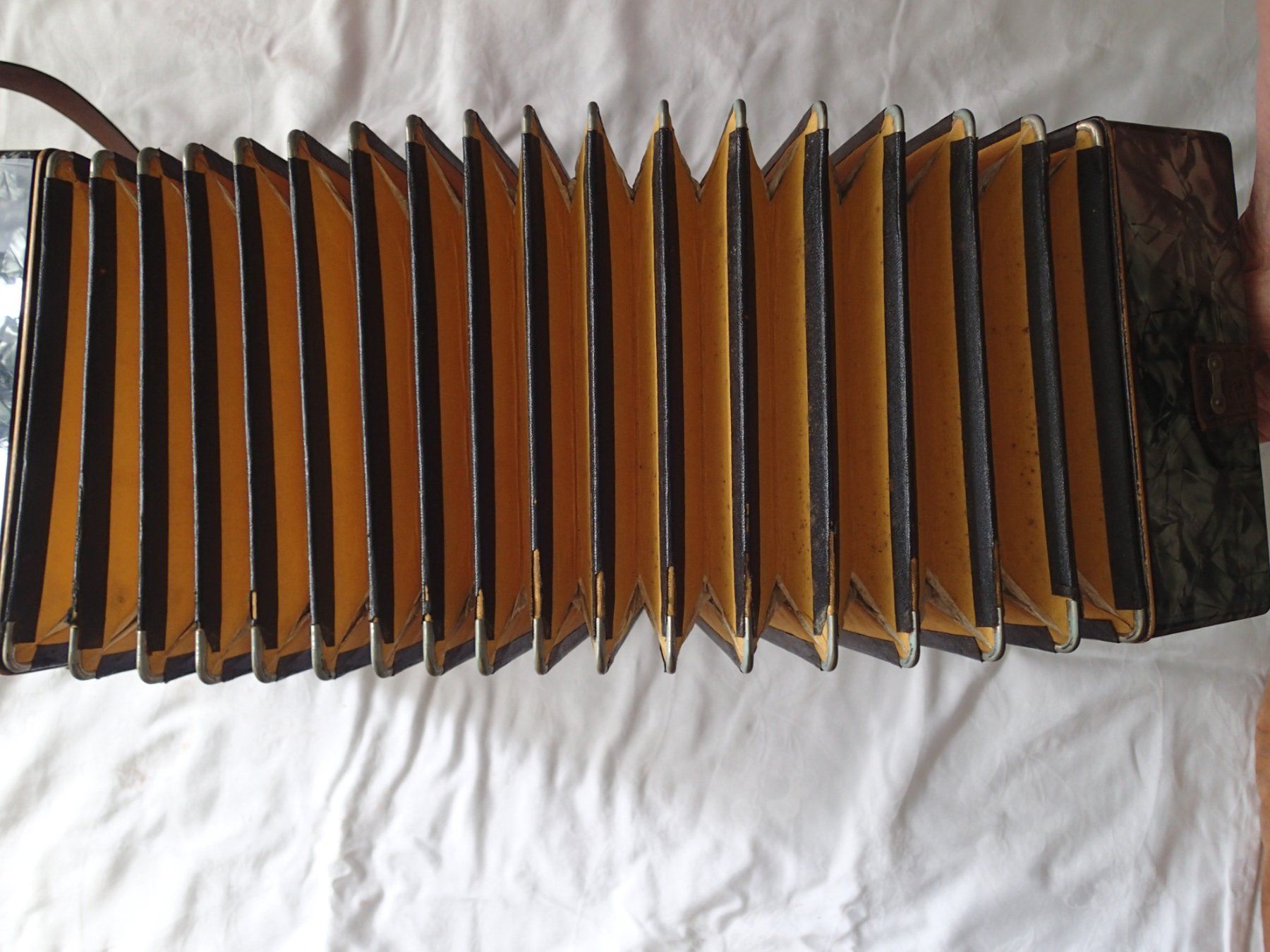 Hohner Strumenti musicali: HOHNER CLAUDE SCALA – Usato da Allschwil venduto da Salus17 5