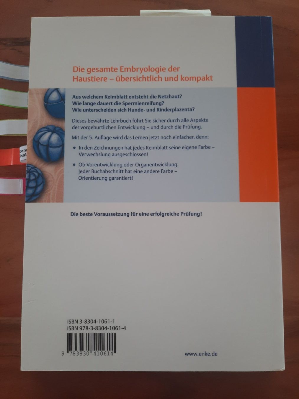 Libri: Embryologie der Haustiere – Usato da Schenkon venduto da Glenmora 1