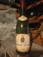 Georges Roumier Chambolle-Musigny 1964 